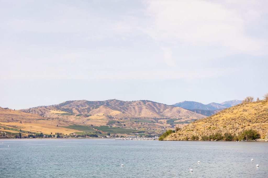 Overlooking Lake Chelan Wedding from Darnell’s Resort Wedding