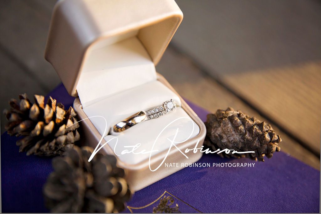 wedding rings in a ring box with pinecones